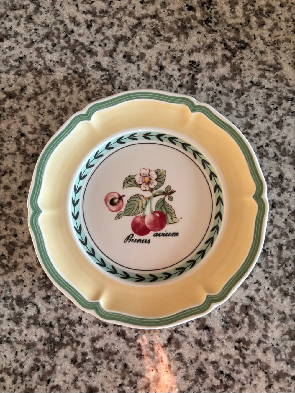 Villeroy & Boch French Garden bread and butter plate - like new